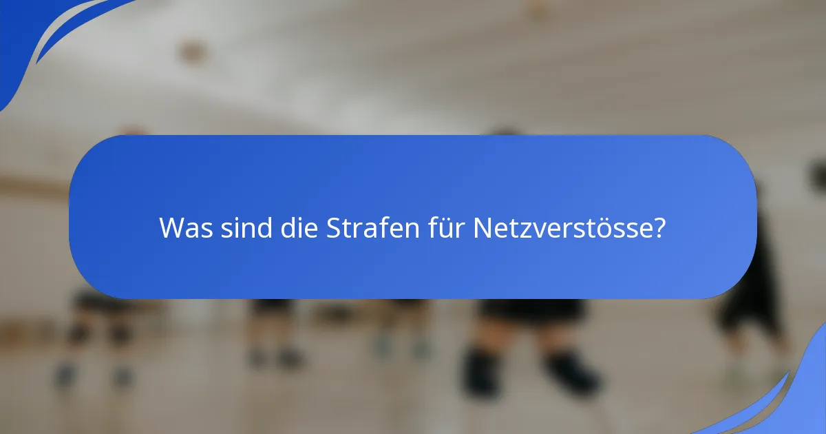 Was sind die Strafen für Netzverstösse?